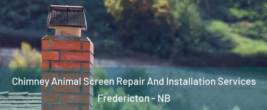 Chimney Animal Screen Repair And Installation Services Fredericton - NB