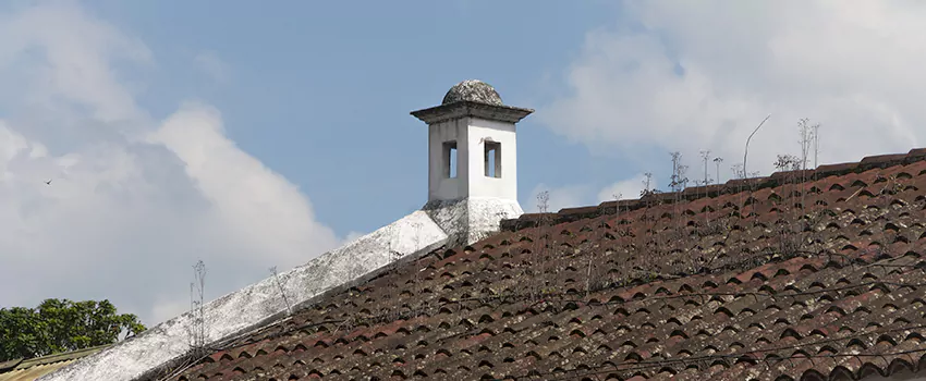 Wind-Resistant Chimney Caps Installation and Repair Services in Fredericton, New Brunswick