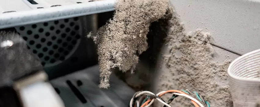 Clogged Dryer Vent Lint Cleaning in Fredericton, New Brunswick