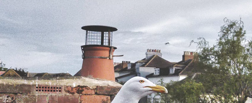 Chimney Cap Bird Guard Repair in Fredericton, New Brunswick